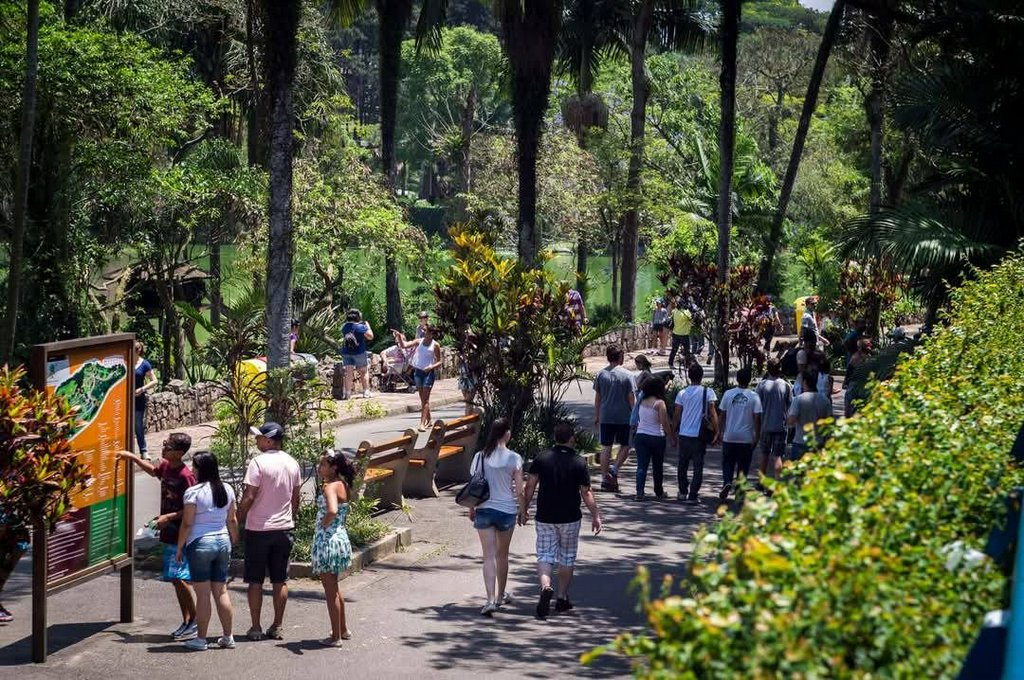 Excursão Zoológico de São Paulo