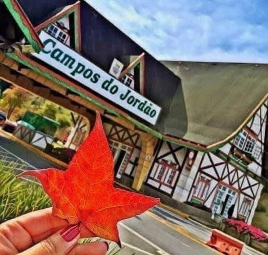 EXCURSÃO CAMPOS DO JORDÃO