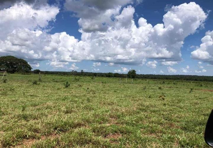 FAZENDA À VENDA – CAMAPUÃ- MS - Imagem 2